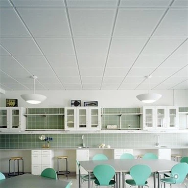 แผ่นฝ้าเพดาน PVC สีขาว