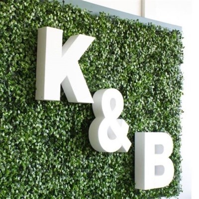 ป้ายตัวอักษร PVC สำหรับการโฆษณา